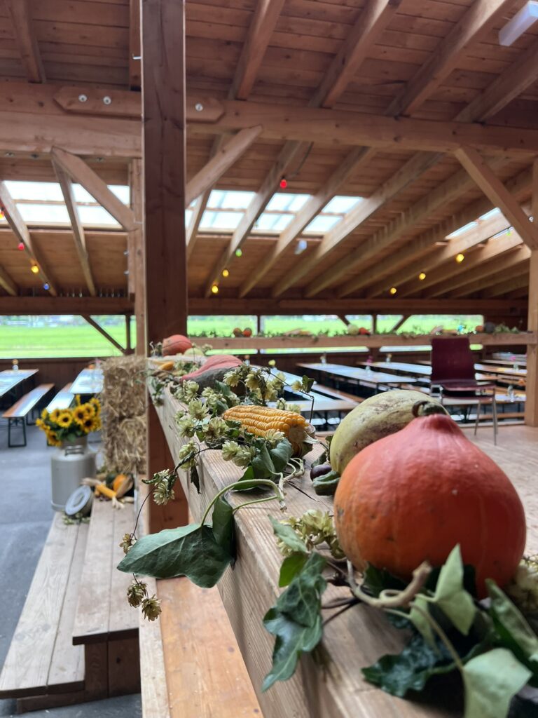 Zwiebelkuchenfest 2025 (2)